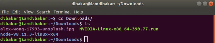 Nvidia driver in Download director